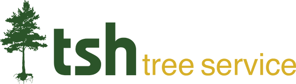 TSH Tree Service